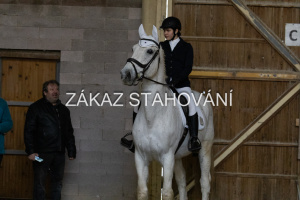 ZH1 hobby (1478).JPG