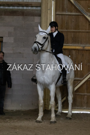 ZH1 hobby (1479).JPG