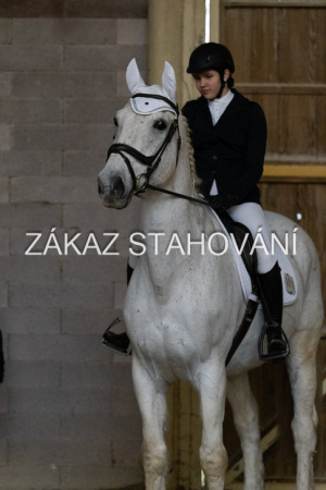 ZH1 hobby (1480).JPG