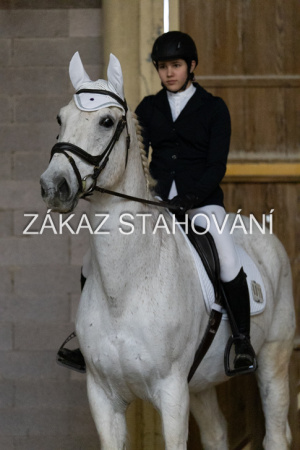 ZH1 hobby (1482).JPG