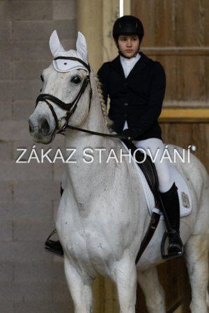 ZH1 hobby (1483).JPG