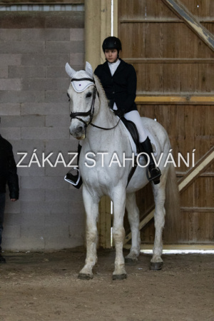 ZH1 hobby (1484).JPG