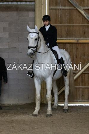 ZH1 hobby (1485).JPG