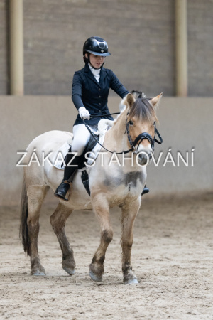 ZH1 hobby (1488).JPG