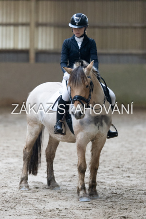 ZH1 hobby (1489).JPG