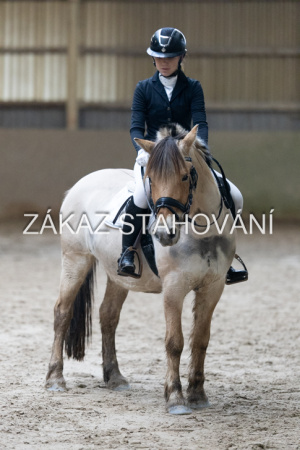 ZH1 hobby (1490).JPG