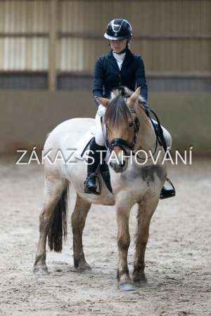 ZH1 hobby (1491).JPG