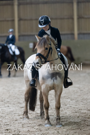 ZH1 hobby (1494).JPG