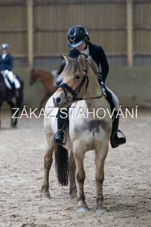 ZH1 hobby (1495).JPG