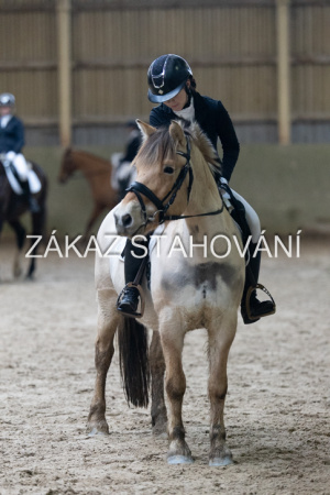 ZH1 hobby (1496).JPG