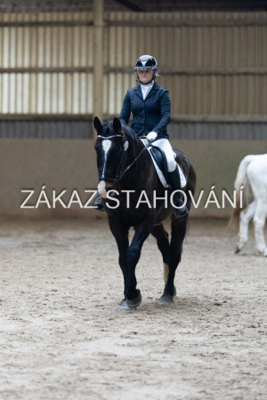 ZH1 hobby (1497).JPG