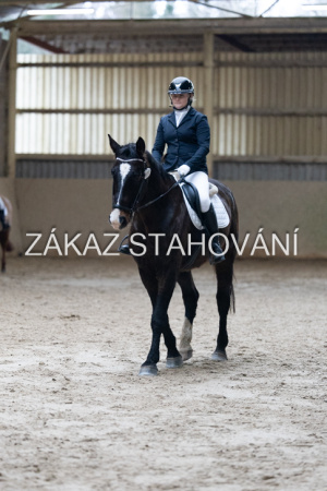 ZH1 hobby (1498).JPG