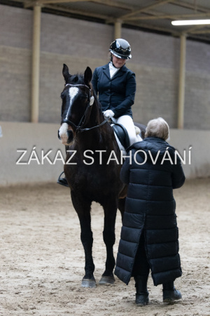 ZH1 hobby (1499).JPG