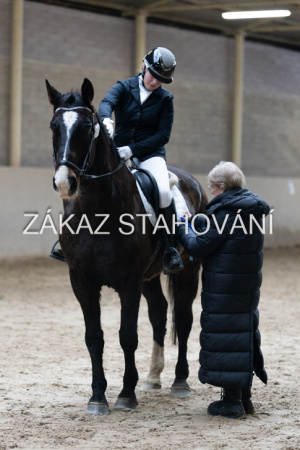 ZH1 hobby (1500).JPG