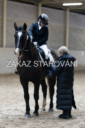 ZH1 hobby (1501).JPG