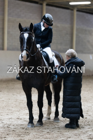 ZH1 hobby (1502).JPG