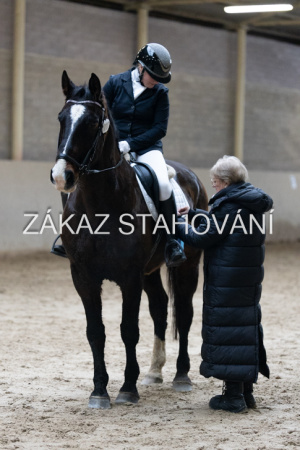 ZH1 hobby (1503).JPG