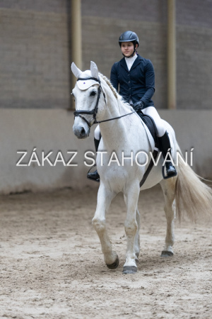 ZH1 hobby (1505).JPG