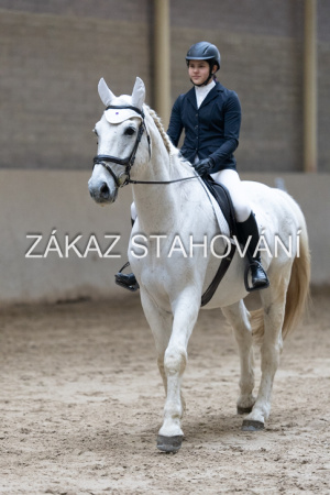 ZH1 hobby (1506).JPG