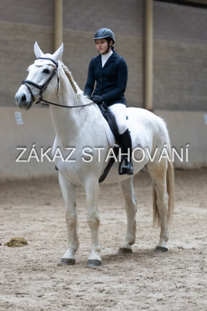 ZH1 hobby (1507).JPG