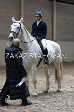 ZH1 hobby (1508).JPG