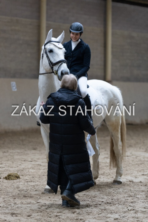 ZH1 hobby (1509).JPG