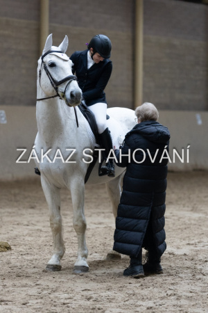 ZH1 hobby (1511).JPG