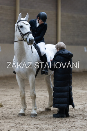 ZH1 hobby (1512).JPG