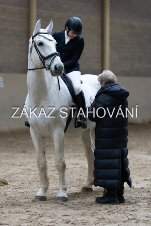 ZH1 hobby (1513).JPG