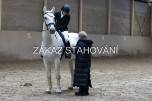 ZH1 hobby (1514).JPG