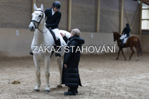 ZH1 hobby (1515).JPG