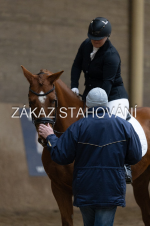 ZH1 hobby (1516).JPG