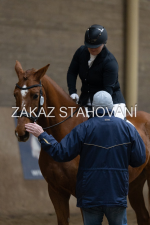 ZH1 hobby (1517).JPG