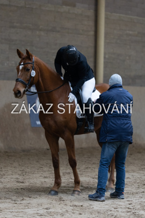 ZH1 hobby (1518).JPG