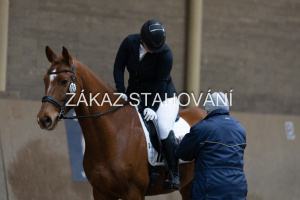 ZH1 hobby (1519).JPG