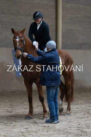 ZH1 hobby (1520).JPG