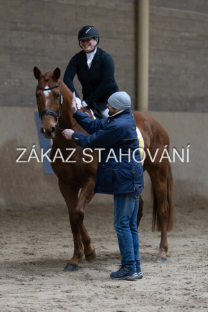 ZH1 hobby (1521).JPG