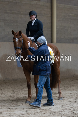 ZH1 hobby (1522).JPG