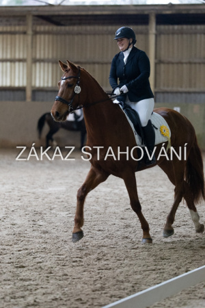 ZH1 hobby (1523).JPG