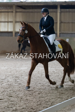 ZH1 hobby (1524).JPG