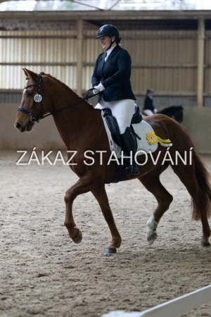 ZH1 hobby (1525).JPG