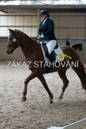 ZH1 hobby (1526).JPG