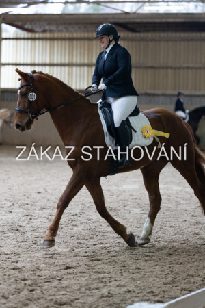 ZH1 hobby (1527).JPG