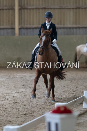 ZH1 hobby (1528).JPG