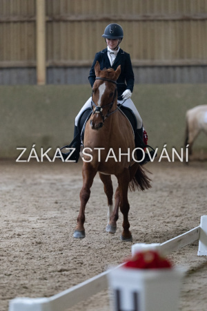 ZH1 hobby (1529).JPG