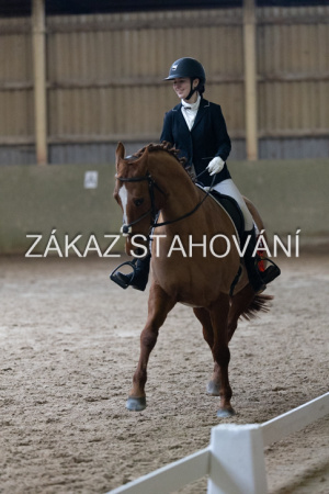 ZH1 hobby (1530).JPG