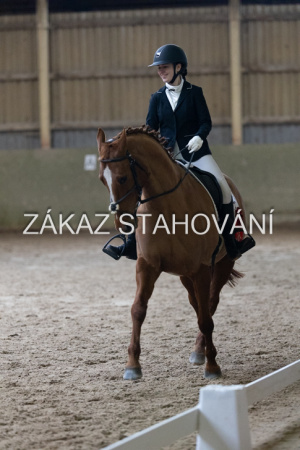 ZH1 hobby (1531).JPG