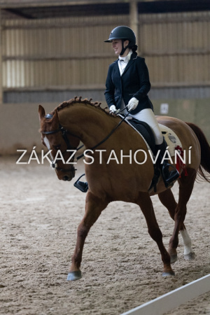 ZH1 hobby (1532).JPG