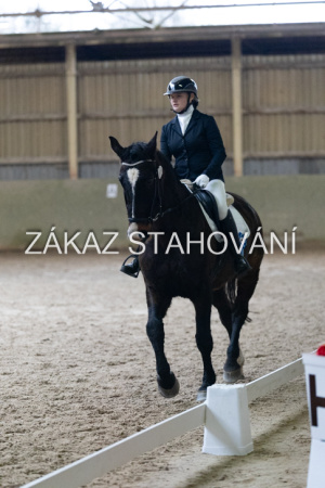 ZH1 hobby (1533).JPG