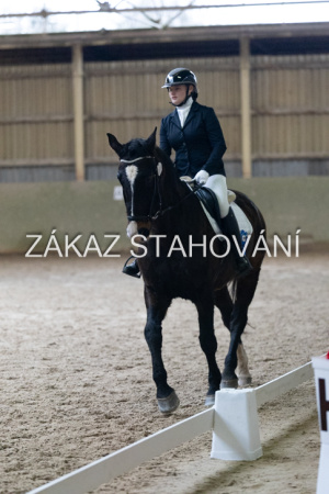 ZH1 hobby (1534).JPG